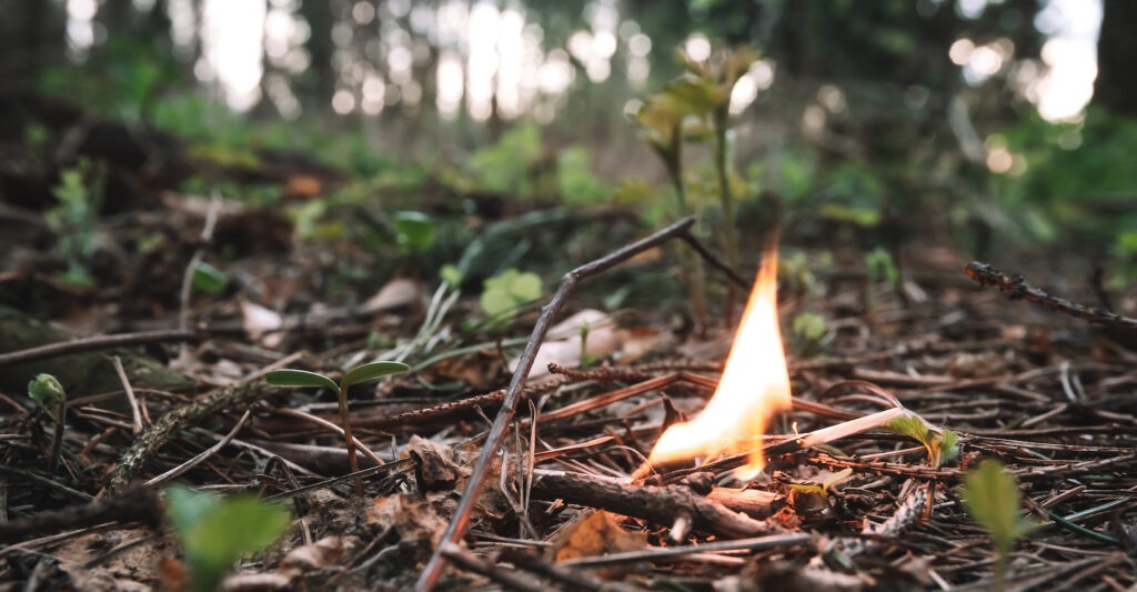 début de feu allumette en forêt