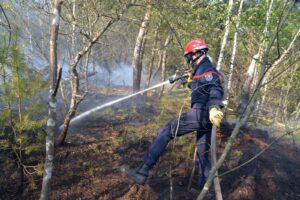 pompier du sis67 terminant une extinction de feu de forêt