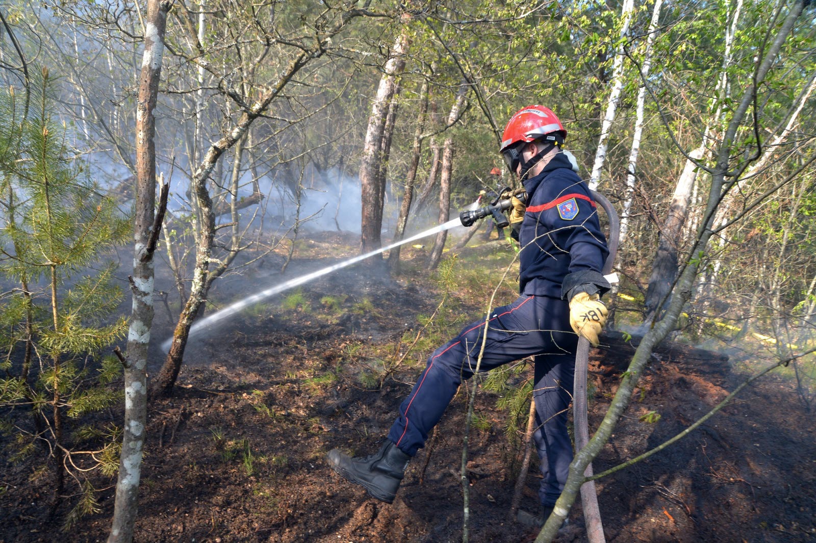pompier du sis67 terminant une extinction de feu de forêt