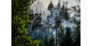 feu de forêt, photo Vosges Matin / Jérôme Humbrecht